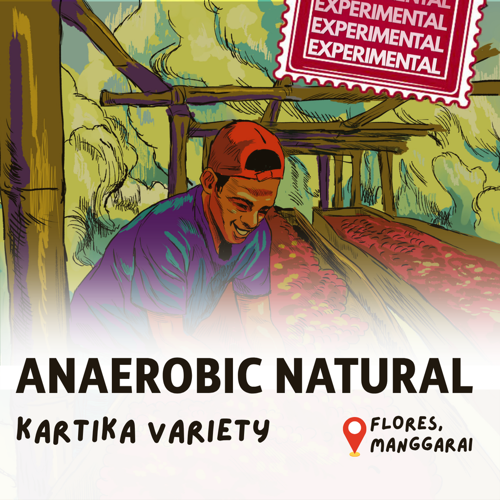 Green Bean Arabica Anaerobic Natural Experimental Lot Flores Manggarai -  1kg