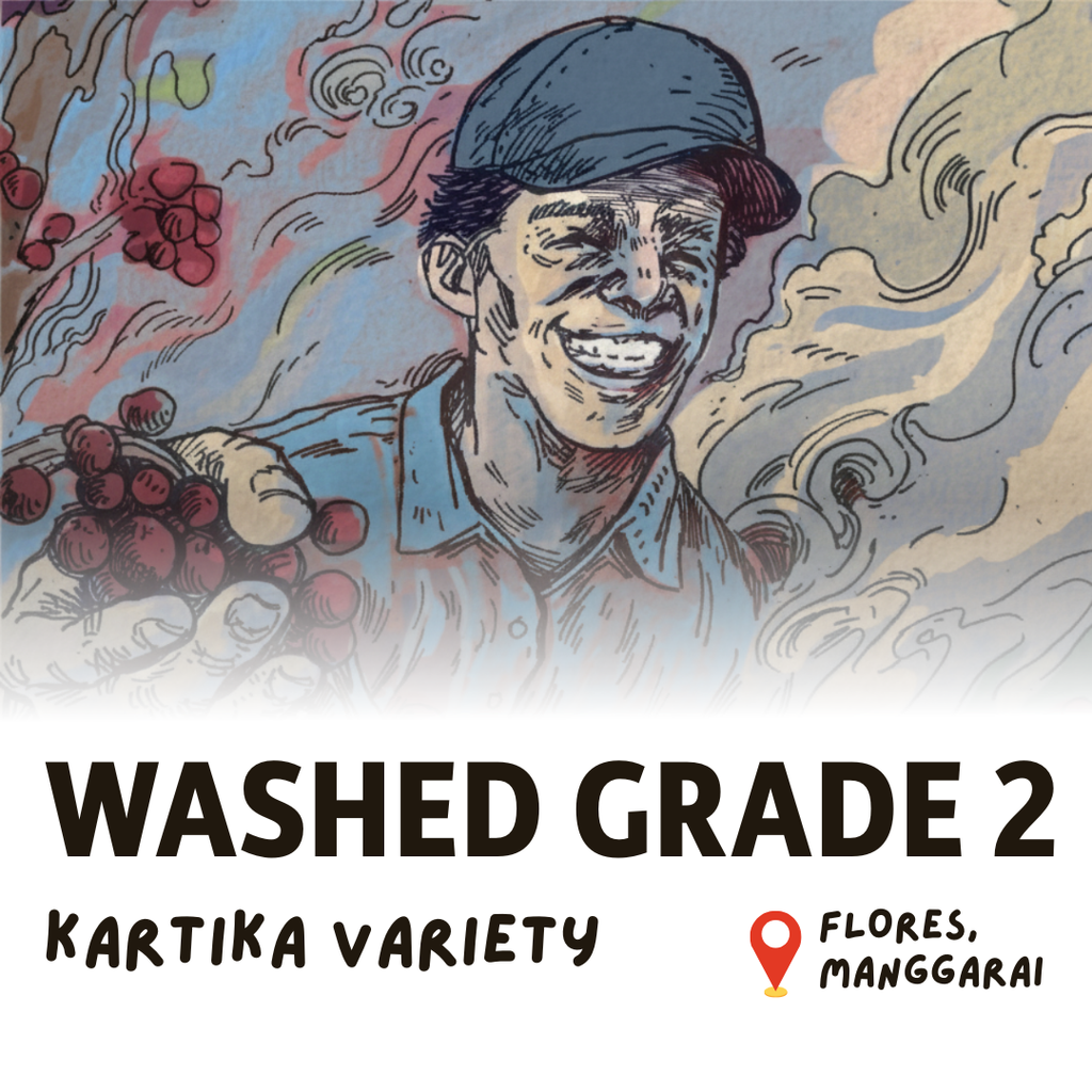 Green Bean Arabica Washed Grade 2 Flores Manggarai  - 1kg