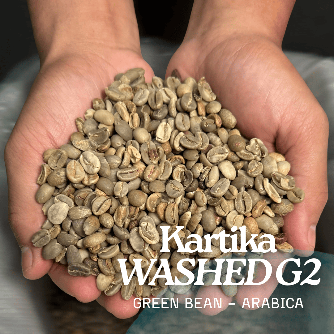 Green Bean Arabica Washed Grade 2 Flores Manggarai  - 1kg