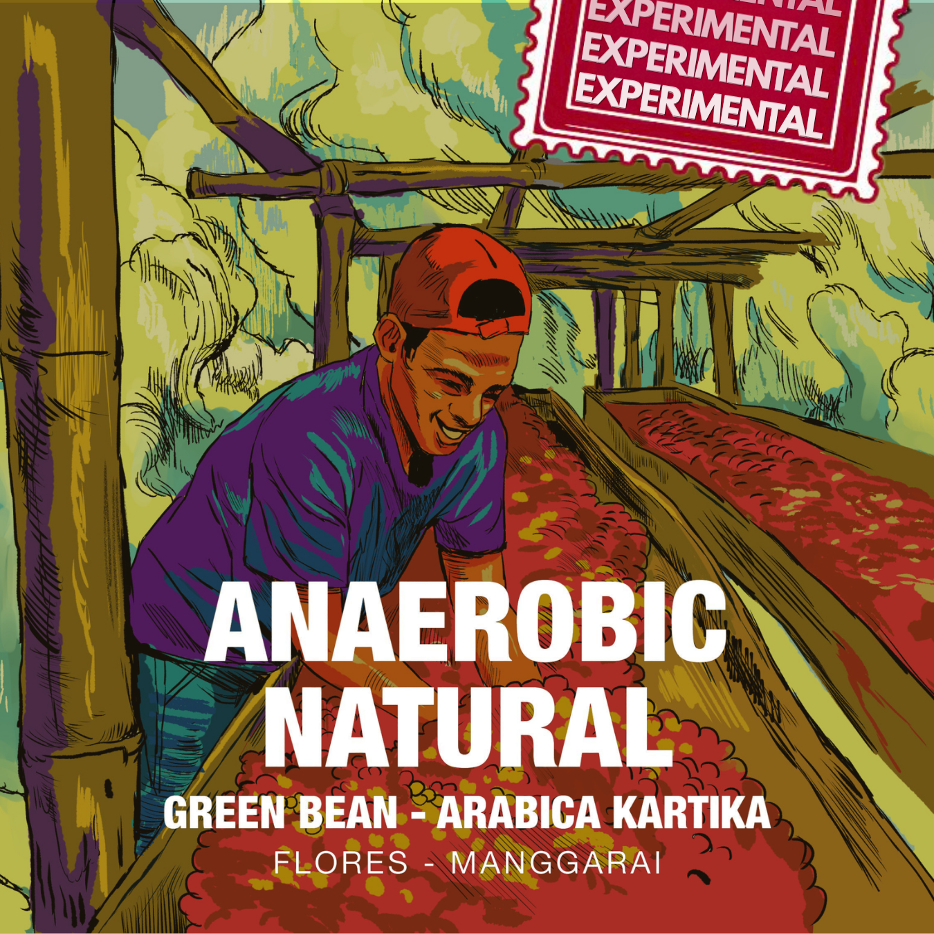 Green Bean Arabica Anaerobic Natural Experimental Lot Flores Manggarai -  1kg
