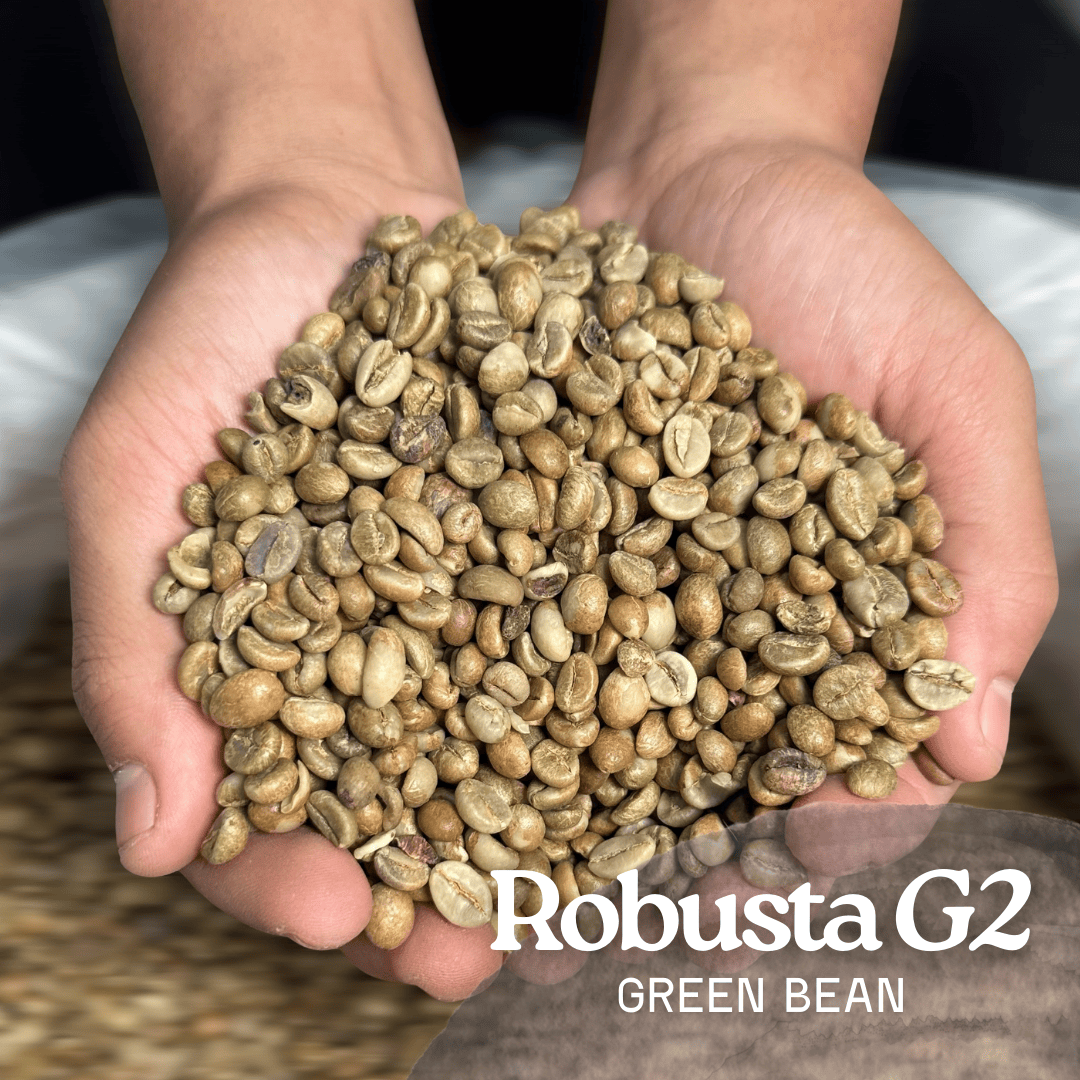 Green Bean Robusta Natural Grade 2 Flores Manggarai - 1kg