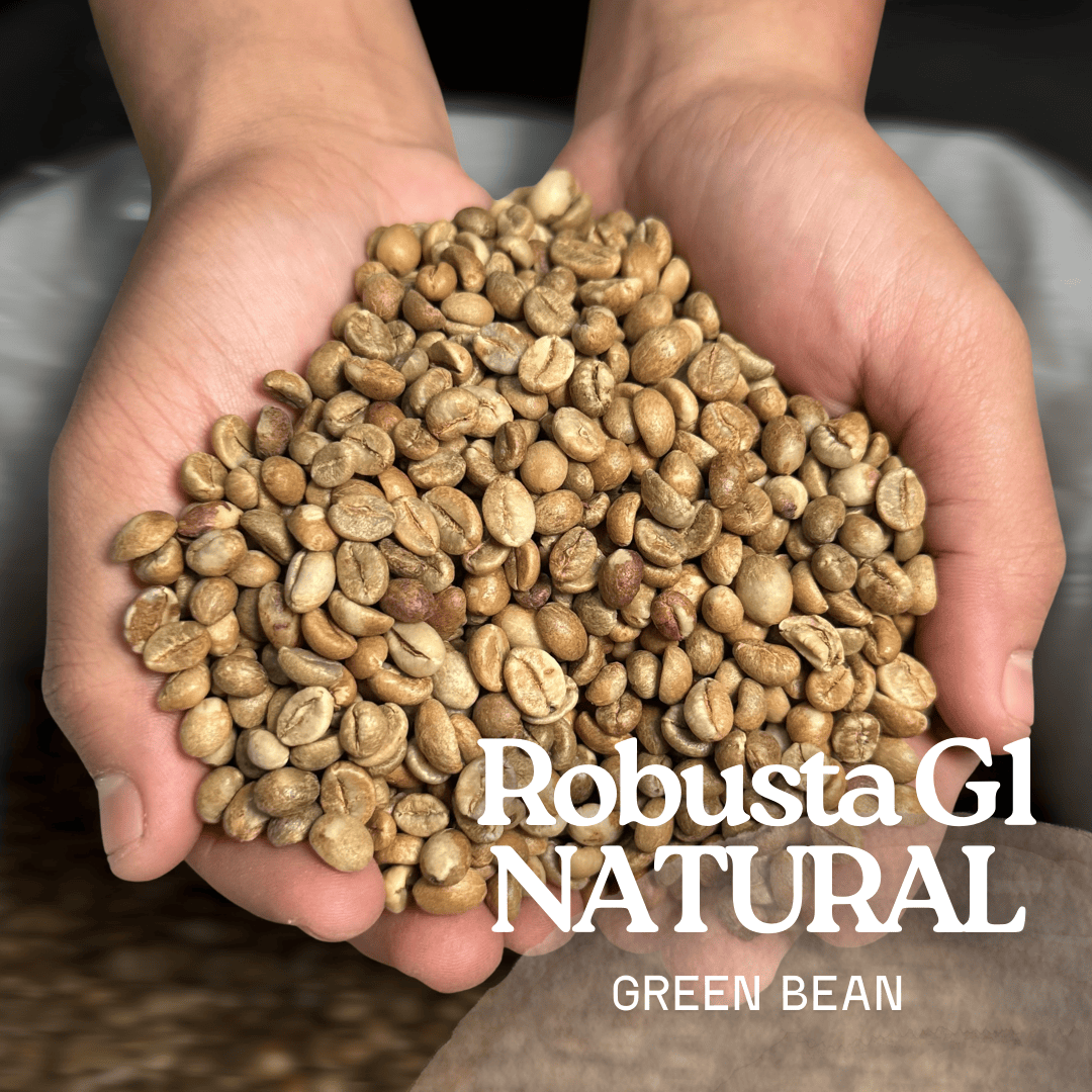 Green Bean Robusta Natural Grade 1 Flores Manggarai  - 1kg